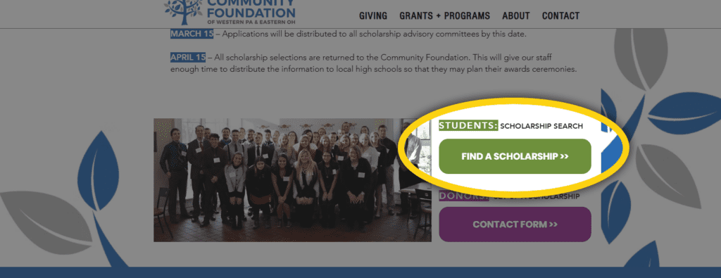 Community Foundation Website Screenshot